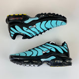 Nike Tn Air Max Plus Aqua Silver