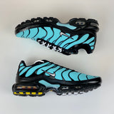 Nike Tn Air Max Plus Aqua Silver