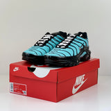 Nike Tn Air Max Plus Aqua Silver